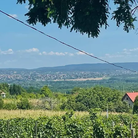 Balaton-view House, Only 5 Min From Heviz Feriehus *