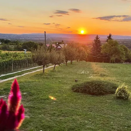 Balaton-view House, Only 5 Min From Heviz